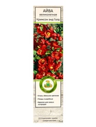 Айва великолепная (Хеномелес) «Кримсон энд Голд», саженец, туба, 1 шт. - фото 41350720