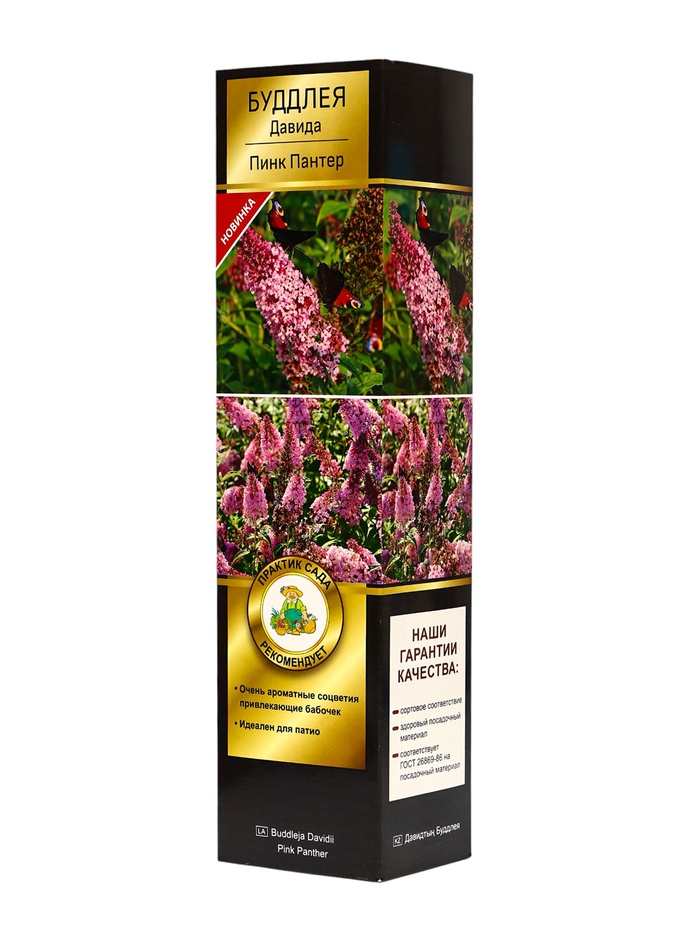 Буддлея Давида Люкс Пинк Пантер туба, 1 шт. Весна 2026 - Фото 1