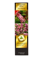 Буддлея Давида Люкс Пинк Пантер туба, 1 шт. Весна 2026 - Фото 2