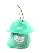 Вейгела цветущая «Миддендорфа», саженец, туба, 1 шт. - Фото 4