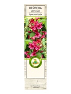 Вейгела цветущая «Бристол Руби», саженец, туба - Фото 2