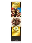 Вейгела цветущая Люкс «Винтаж Лав», саженец, туба, 1 шт. - фото 41487324