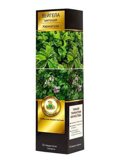 Вейгела цветущая Люкс Карикатура туба, 1 шт. Весна 2026