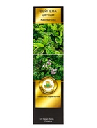 Вейгела цветущая Люкс Карикатура туба, 1 шт. Весна 2026 - Фото 2