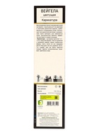 Вейгела цветущая Люкс «Карикатура», саженец, туба, 1 шт. 10369679 - фото 4357731