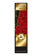 Виноград трехлисточковый (Партеноциссус) Люкс «Вейчи», саженец, декоративный, лиана, туба, 1 шт. - фото 41350748