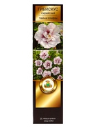 Гибискус сирийский Люкс Чайна Шифон, туба 1 шт. Весна 2026 - Фото 2