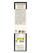 Гортензия метельчатая, H 50-100 «Лемон Лайт», саженец декоративный, цветущий, туба, 1 шт. - фото 41350757