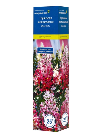 Гортензия метельчатая Пинк Леди, туба 1 шт. Весна 2026