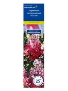 Гортензия метельчатая «Пинк Леди», туба, 1 шт. 10369721