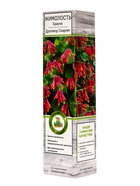 Жимолость Брауна Дропмор Скарлет, туба, 1 шт., Весна 2026 - Фото 1