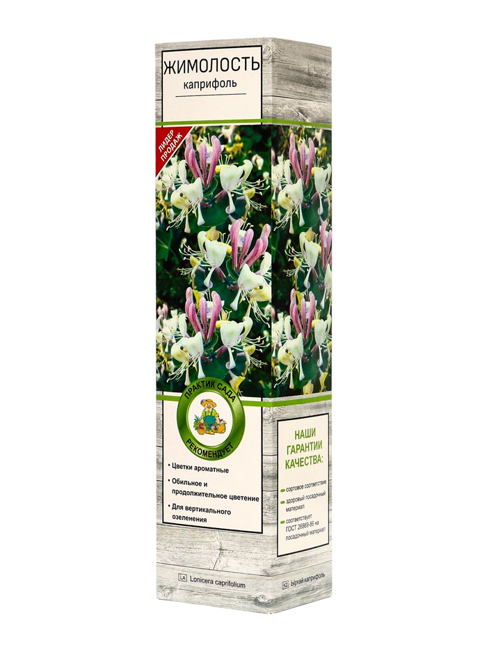 Жимолость каприфоль, туба, 1 шт., Весна 2025 - Фото 1