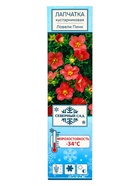 Лапчатка кустарниковая "Ловели Пинк", туба, 1 шт, Лето 2025 - фото 41350776