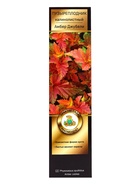 Пузыреплодник калинолистный Люкс «Амбер Джубели», туба, 1 шт. 10369785