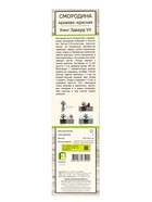 Смородина кроваво-красная «Кинг Эдвард VII», туба, 1 шт. 10369804