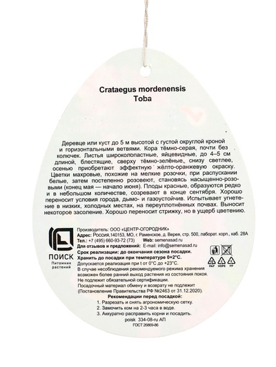Боярышник морденский Тоба туба, 1 шт. Весна 2026