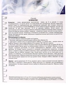 Клематис крупноцветковый Дариус, капер, 1 шт., Весна 2026 - Фото 2