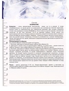 Клематис крупноцветковый "Паола", капер, 1 шт, Весна 2025 - фото 41487343