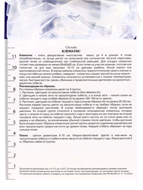 Клематис крупноцветковый "Паола", капер, 1 шт, Весна 2025