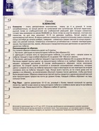 Клематис крупноцветковый "Ред Перл", капер, 1 шт, Весна 2025 10369919 - фото 4357836