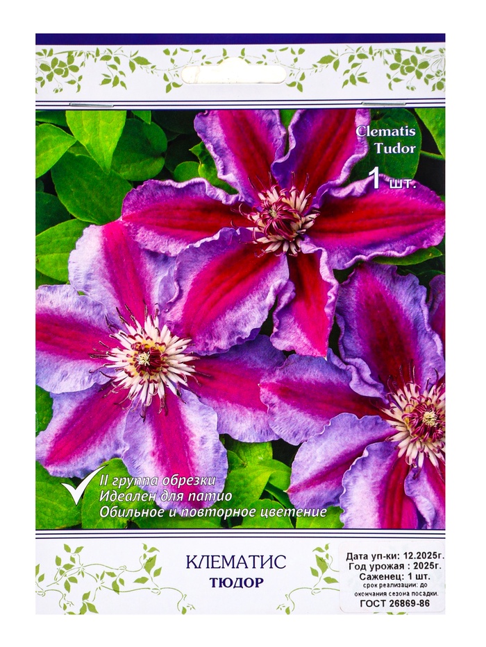 Клематис крупноцветковый «Тюдор», капер, 1 шт., Весна 2026, «ПОИСК»