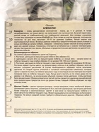 Клематис крупноцветковый Люкс "Дансинг Смайл", капер, 1 шт, Весна 2025 10369961 - фото 4357851