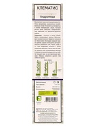 Клематис крупноцветковый "Андромеда", туба, 1 шт, Лето 2025 - фото 41487353