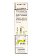 Клематис крупноцветковый «Мать Сиедлиска», туба, 1 шт. - Фото 3