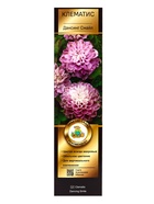 Клематис крупноцветковый Люкс "Дансинг Смайл", туба, 1 шт, Лето 2025 - фото 41487358