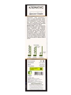 Клематис крупноцветковый Люкс "Дансинг Смайл", туба, 1 шт, Лето 2025 - фото 41487359