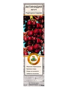 Актинидия аргута «Пурпурна Садова», туба, 1 шт., Весна 2026, «ПОИСК»  (артикул 10370044)  большой выбор товаров оптом и в розницу по низким ценам с доставкой