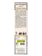 Актинидия аргута «Пурпурна Садова», туба, 1 шт., Весна 2026, «ПОИСК»  (артикул 10370044)  большой выбор товаров оптом и в розницу по низким ценам с доставкой