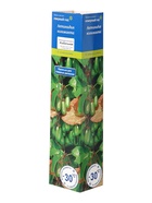 Актинидия коломикта «Изобильная», туба, 1 шт., Весна 2026, «ПОИСК» - Фото 2