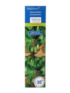 Актинидия коломикта «Изобильная», туба, 1 шт., Весна 2026, «ПОИСК» - Фото 3