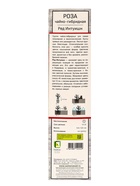 Саженец Роза чайно-гибридная «Ред Интуишн», туба, 1 шт. - Фото 3