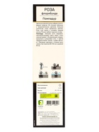 Саженец Роза флорибунда Люкс Помпадур, туба, 1 шт. Весна 2026  (артикул 10370416)  большой выбор товаров оптом и в розницу по низким ценам с доставкой