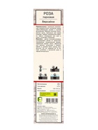 Саженец Роза парковая "Версайни", туба, 1 шт, Весна 2025 10370425