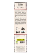 Саженец Роза парковая «Роуз де Решт», туба, 1 шт. - фото 41350843