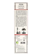Саженец Роза плетистая "Антик-89", туба, 1 шт, Весна 2025 - Фото 3