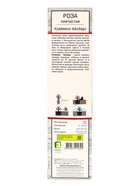 Саженец Роза плетистая "Клайминг Айсберг", туба, 1 шт, Весна 2025 - Фото 3