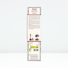 Саженец Роза плетистая Лагуна, туба, 1 шт. Весна 2026  (артикул 10370491)  большой выбор товаров оптом и в розницу по низким ценам с доставкой