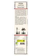 Саженец Роза плетистая «Пенни Лейн», туба, 1 шт. - Фото 3