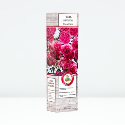 Саженец Роза плетистая "Пинк Клод", туба, 1 шт, Весна 2025