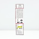 Саженец Роза плетистая "Пинк Клод", туба, 1 шт, Весна 2025 - Фото 2