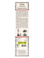 Саженец Роза плетистая "Пьер де Ронсар", туба, 1 шт, Лето 2025 - фото 41350873