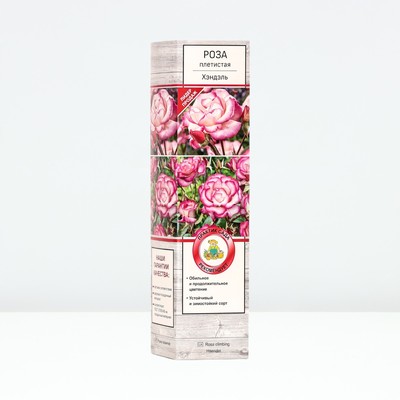 Саженец Роза плетистая Хэндэль, туба, 1 шт. Весна 2026