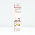 Саженец Роза почвопокровная "Ред Фэйри", туба, 1 шт, Весна 2025 - Фото 2