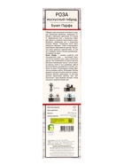 Саженец Роза мускусные гибриды "Букет Парфе", туба, 1 шт, Весна 2025 10370546