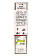 Саженец Роза спрей "Мисти Баблс", туба, 1 шт, Лето 2025 - фото 41350892