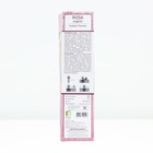 Саженец Роза английская парковая "Грэхэм Томас", туба, 1 шт, Весна 2025 - Фото 3